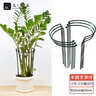 九千谷植物支撑架园艺花架阳台花园绣球月季爬藤 半圆20*35CM 3对装6393 实拍图