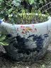 史丹利大块椰砖4.5KG 营养土椰糠养花通用型花土椰壳种菜专用脱盐椰子土 实拍图