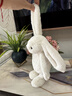 Jellycat害羞乳白色邦尼兔动物毛绒玩偶安抚玩偶娃娃送礼生日礼物 害羞乳白色邦尼兔 Small 实拍图