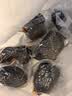 山山竹炭包汽车用新车车内除甲醛除异味专用车载吸去除味活性炭2160g 实拍图