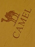 骆驼（CAMEL）运动鞋夏季新款女鞋网面透气洞洞鞋防滑耐磨妈妈老人休闲运动鞋子 实拍图