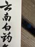 云南白药益生菌热门牙膏套装清新口气去口臭护龈牙膏6支500g+环保购物袋 实拍图