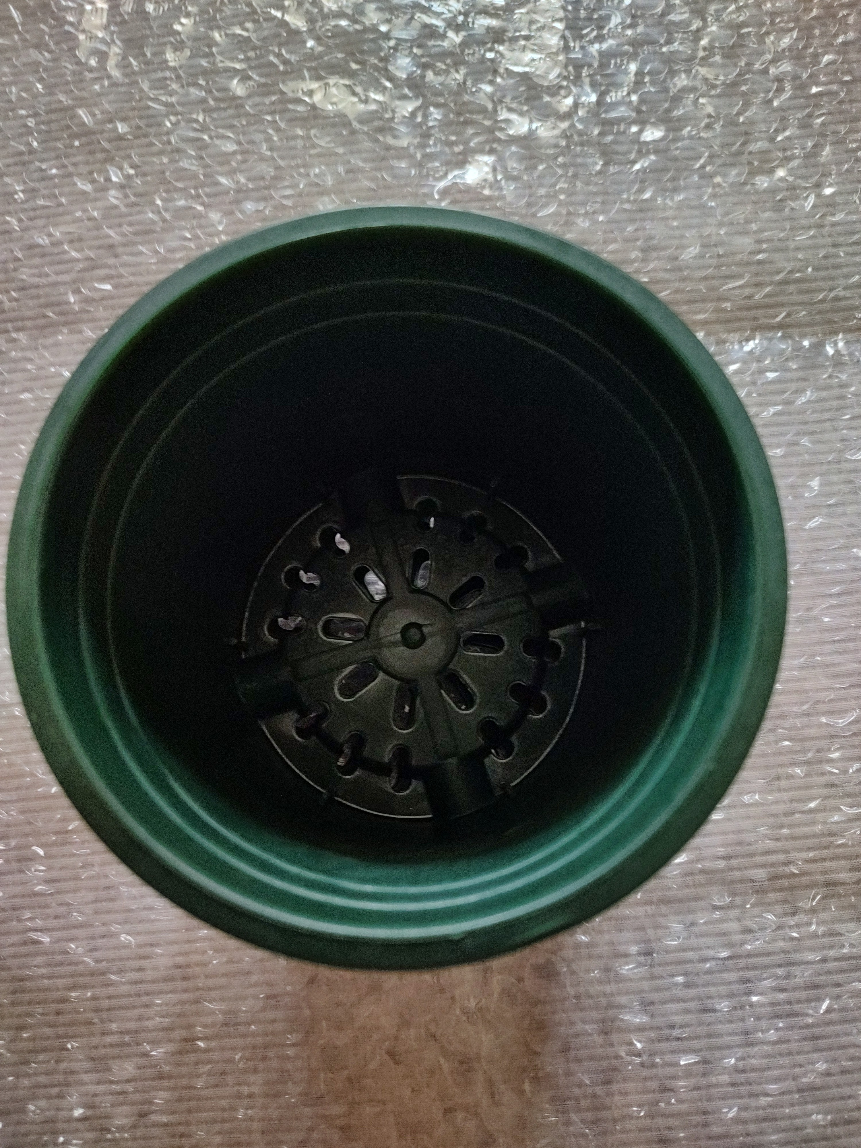 花盆绿植盆栽加厚塑料简约多肉小盆阳台客厅月季玫瑰大号家用花盆 矮款0.5加仑(口径10cm)2个盆 配套托盘 实拍图