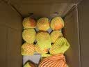 京鲜生湖南石门特早熟蜜橘 净重4.5斤 单果55-65mm花斑果源头直发包邮 实拍图