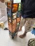童年无限磁力片积木拼装拼图智力开发男女孩3岁儿童益智玩具-大自然100pcs 实拍图