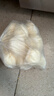 广州酒家叉烧包750g20个早茶糕点点心包子小笼包预制菜儿童早餐速冻半成品 实拍图