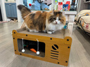 喵仙儿猫抓板电视机双层猫窝一体瓦楞纸猫爪板立体猫屋沙发猫咪玩具用品 实拍图