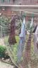骆驼（CAMEL）短袖短裤运动套装女士夏季新款超薄速干t恤休闲跑步篮球衣运动服 实拍图