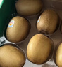 佳沛（zespri）新西兰阳光金果10个装单果重约103-114g 水果礼盒 猕猴桃 实拍图
