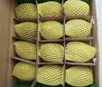 佳沛（zespri）新西兰 阳光金奇异果12粒特大果单果124-146g 猕猴桃水果礼盒 实拍图