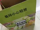 佰恩氏（BAIENSHI）小青柠汁柠檬饮料非浓缩饮品【0添加剂】0脂200ml*12瓶 含NFC果汁 实拍图
