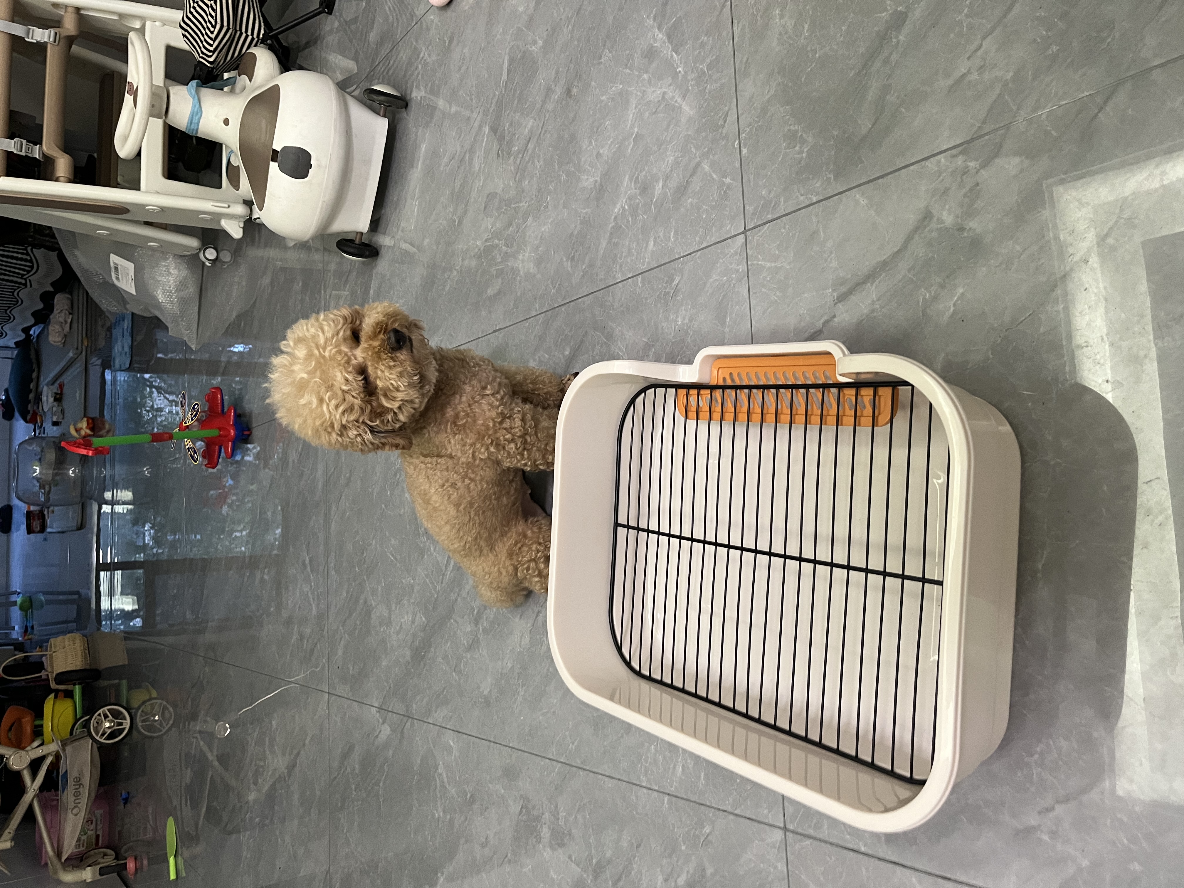 HELLOJOY狗厕所中型小型犬专用防踩屎便盆尿尿盆非不锈钢大小便神器狗砂盆 实拍图