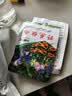 小镇有花 波斯菊种子 格桑花四季易种庭院景观美林花海花期长花卉种子 实拍图