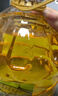 金龙鱼 食用油 非转基因 物理压榨玉米油6.18L（蕴含植物甾醇） 实拍图