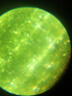 科学罐头（Science  can）显微镜儿童生日礼物学生便携式男女孩6-12岁益智玩具户外礼盒装 实拍图