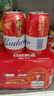百威红罐啤酒淡色拉格330ml*24听整箱装京东自营 实拍图