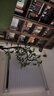 宜家（IKEA）ISJAKT伊思雅LED落地灯可调光镀镍现代简约北欧风 可调光的/镀镍 实拍图