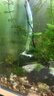 森森（SUNSUN）耀蓝鱼缸水泵小型潜水泵过滤泵抽水泵YQP-500 6W 实拍图