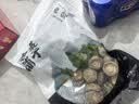 方家铺子中华老字号 紫菜50g 煲汤紫菜片紫菜海产汤 南北海产干货 实拍图