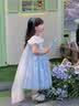 G.duck小黄鸭艾莎公主裙女童裙子夏季蝴蝶翅膀裙儿童礼服女宝宝披风纱裙 爱莎公主裙蓝色裙子+披风 100 （建议身高90cm 3-4岁）cm 实拍图