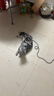 普安特宠物猫咪驱虫药驱虫体内外一体幼成虫跳蚤犬虱非泼罗尼爱滴克套装 实拍图