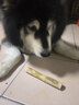 HELLOJOY咖啡木磨牙棒狗狗宠物玩具洁牙洁齿大中小型幼犬防拆家专用耐啃咬 实拍图