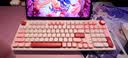 SKN青龙4.0/ultra 机械键盘 三模无线键盘 游戏办公键盘 Gasket结构客制化键盘 ZMK/QMK方案 2U大键0 青龙4.0 Ultra 绯【Cherry花瓣轴】 实拍图