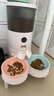 喵享家真空自动喂食器猫咪智能定时远程控制监控可视猫狗粮投食宠物用品 （全新Pro版-可视）无线款 实拍图