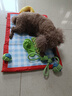 甜浪海狗狗玩具小狗幼犬磨牙棒玩具比熊博美互动解闷耐咬宠物用品5件套 实拍图