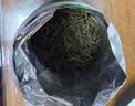 丙田 天目湖白茶100g 正宗溧阳原产26头采新茶叶早春绿茗茶自己喝送礼 实拍图