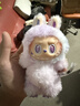 多尼斯（DOGNESS）狗狗牵引绳遛狗绳项圈防挣脱反光小中型犬泰迪柯基法斗博美马犬 实拍图