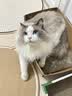 WEYES冻干鸭小胸80g桶装宠物猫咪狗狗宠物零食肉干营养助力适口性好 实拍图