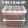 SERENE PET 青松宠 蛭石乌龟孵化器乌龟蛋专用孵化箱蜥蜴守宫产房爬宠孵化盒小甲鱼 S码孵化器1套 适合6个蛋 实拍图