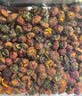 神农金康昆仑雪菊135g 正宗新疆特级搭野生 胎菊花茶 特级天山血菊 养生茶 实拍图