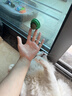 欢宠网猫薄荷球猫玩具猫咪磨牙自嗨解闷神器耐咬逗猫棒猫猫小猫幼猫宠物 实拍图