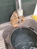 扬子不锈钢增压泵家用全自动热水器增压泵自来水全屋自吸泵太阳能抽水 不锈钢全自动自吸泵380W 实拍图