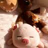 名创优品（MINISO）小猪B-BO草莓趴姿毛绒公仔儿童玩具玩偶娃娃抱枕靠枕生日礼物女 实拍图