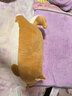 名创优品（MINISO）柴犬系列毛绒公仔趴姿玩具娃娃抱枕睡觉卧室办公室午睡枕生日礼物 实拍图