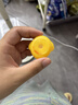 宠乐乖（CHONGLEGUAI）狗笼猫笼狗笼子中小型犬带厕所幼犬折叠便携猫笼子猫咪兔笼850ZG 实拍图