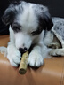 HELLOJOY咖啡木磨牙棒狗狗宠物玩具洁牙洁齿大中小型幼犬防拆家专用耐啃咬 实拍图