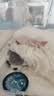 阿卡强（AKACHAN）综合营养条猫条猫酱猫零食湿粮流质肉泥液体流食成幼猫全猫期通用 混合口味-24条 实拍图
