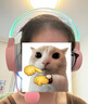 ONIKUMA电脑耳机头戴式有线电竞游戏耳机带麦克风猫耳朵男女生主播吃鸡降噪耳麦发光台式机笔记本通用耳机 可爱粉（RGB发光头梁） 实拍图