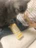 高爷家猫咪主食猫条单一肉源低敏幼猫成猫鸡肉口味15g*10/盒 实拍图