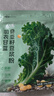 北大荒羽衣甘蓝奇亚籽豆浆粉154g7条高膳食纤维果蔬营养早餐冲饮代餐粉 实拍图