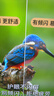 飞利浦电视【价保618】小飞65英寸4K超清智能一级能效144Hz高刷护眼 液晶平板彩色电视机65PUF7791/T3 实拍图