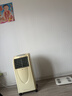 网易严选全价猫粮4.0 猫主粮成幼猫低敏无谷驼羊奶促吸收 鸡肉羊奶味1.5kg 实拍图