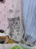 麦富迪猫粮 barf霸弗天然猫粮冻干生骨肉高蛋白成猫粮养胃增肌牛肉5.4kg 实拍图