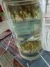 卢正浩绿茶花香龙井茶特级50g2026新茶全手工明前茶叶团购长辈中秋送礼 实拍图