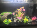 萌嘟星宠仿真水草鱼缸造景套装水族箱布景装饰摆件假植塑料假水草 11件套 实拍图