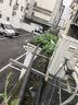格力（GREE）润之恋空气能热水器家用300升变频1级WiFi银离子杀菌80℃电辅SXTD300LCJW/R-1q(5-7人)家电补贴 实拍图